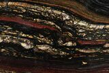 Polished Tiger Iron Stromatolite Slab - Billion Years #351805-1
